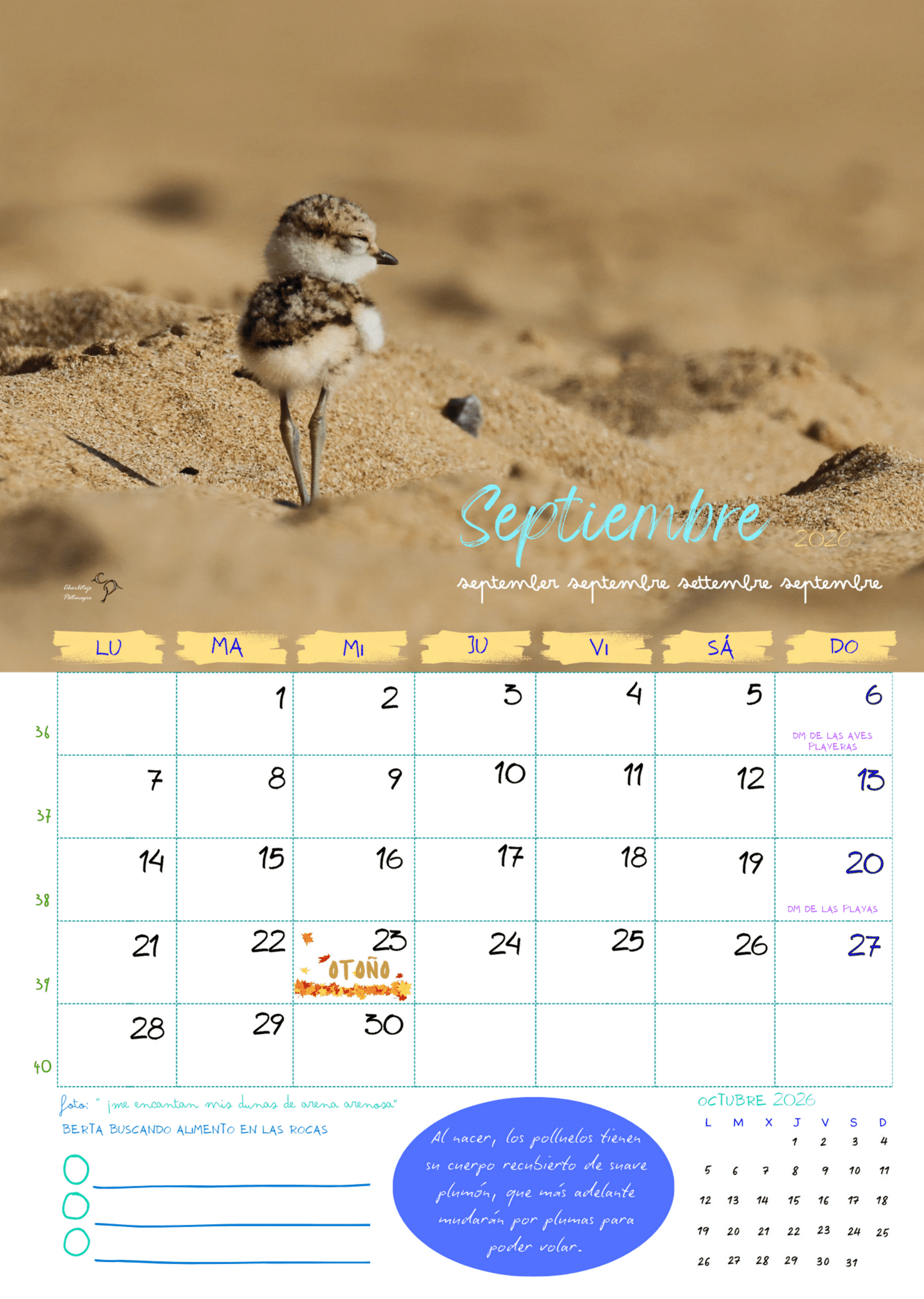 Calendario de pared 2026 - 9