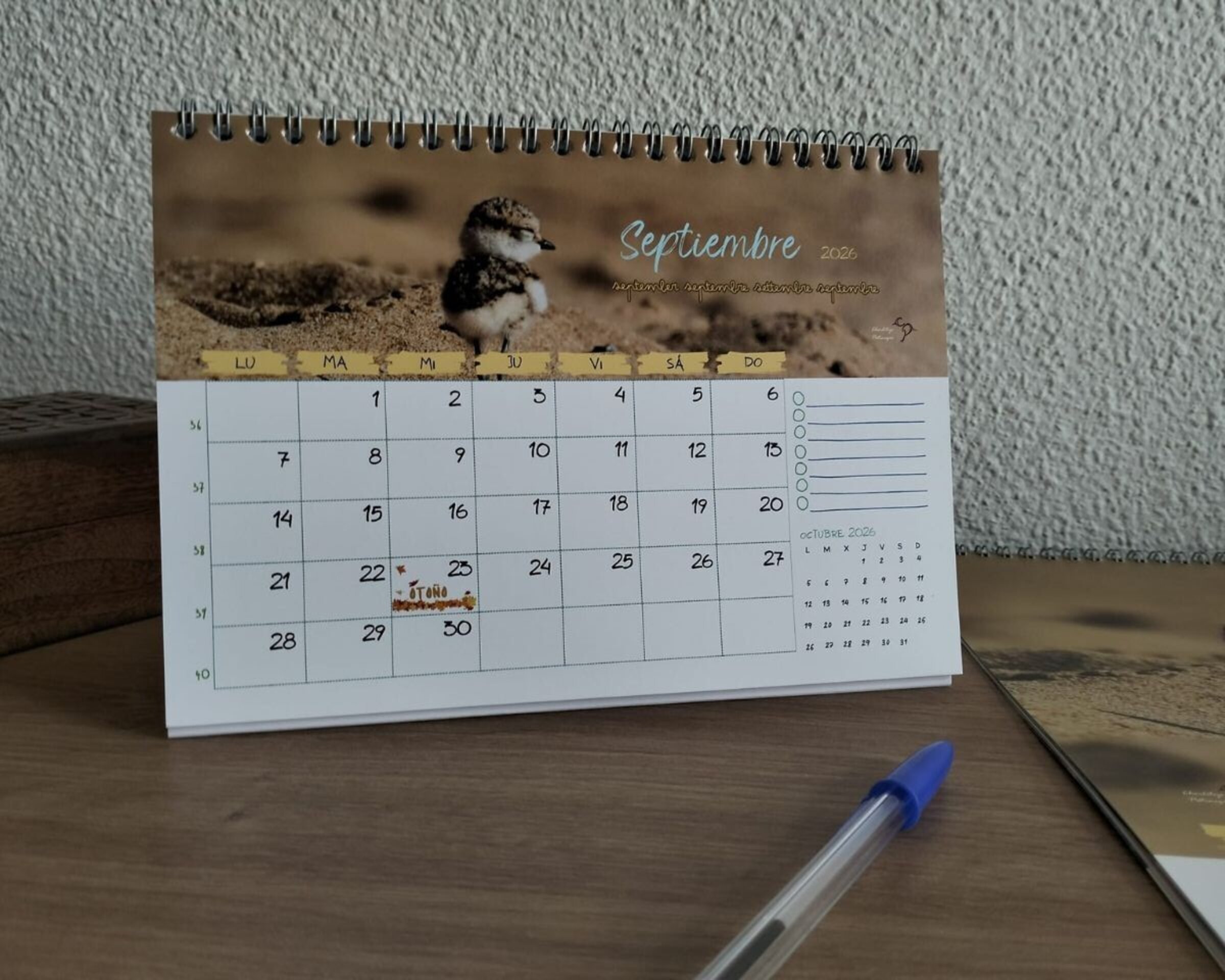 Calendario de mesa Chorlitejos Patinegros - 4