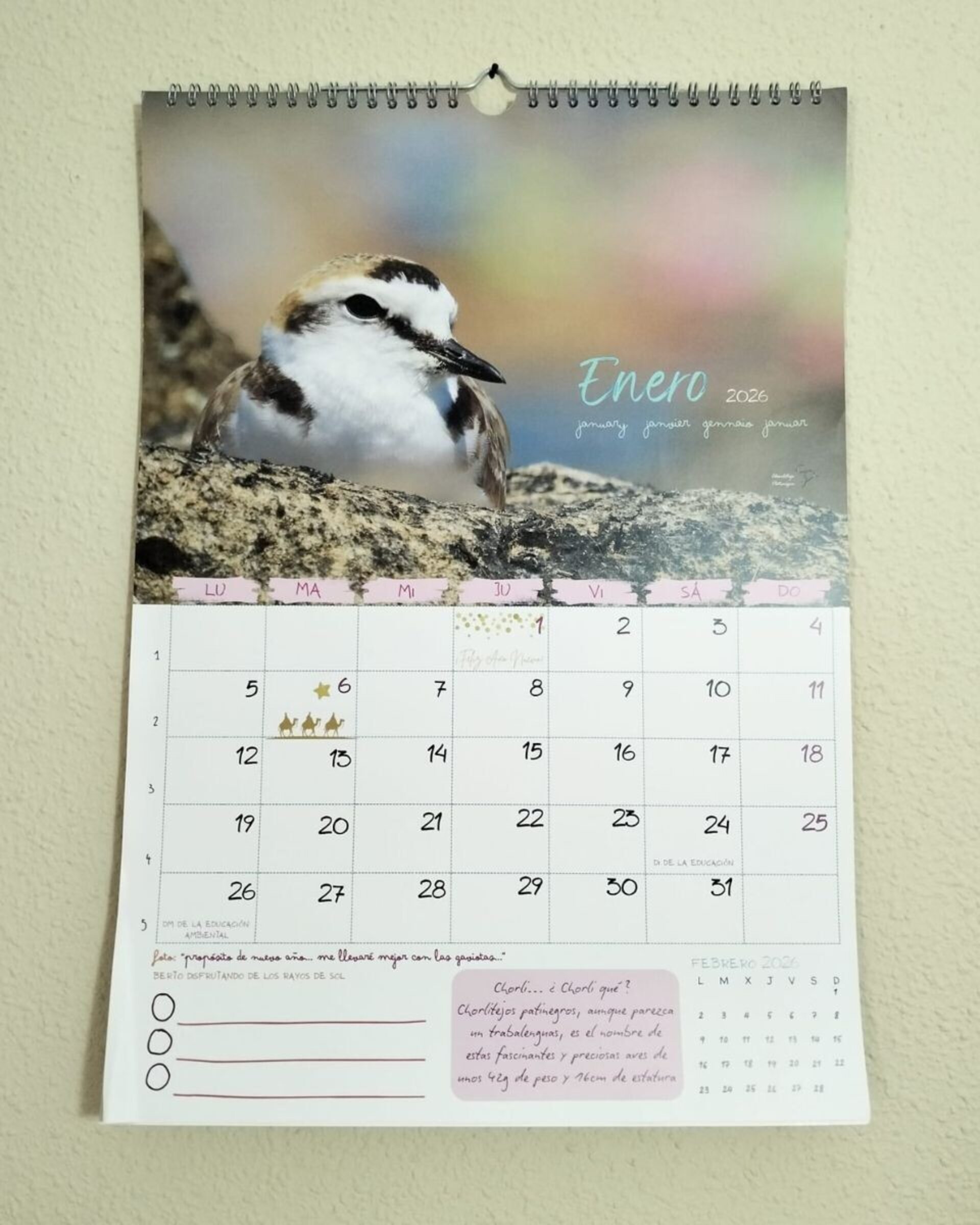 Calendario de pared 2026 - 2