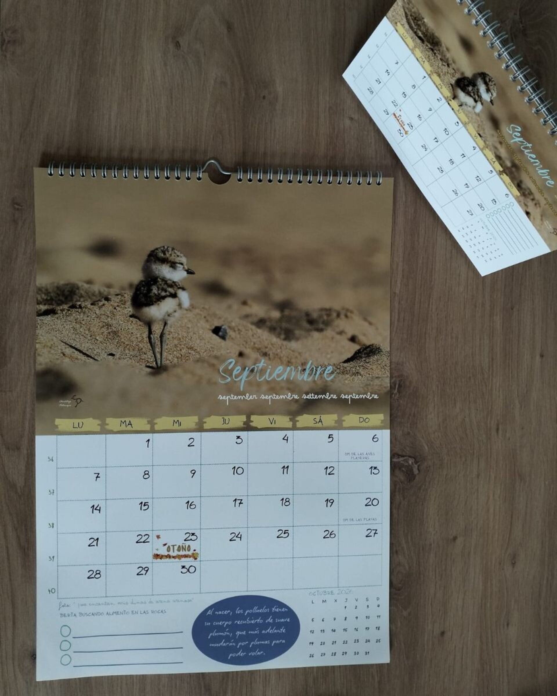 Calendario de pared 2026 - 3