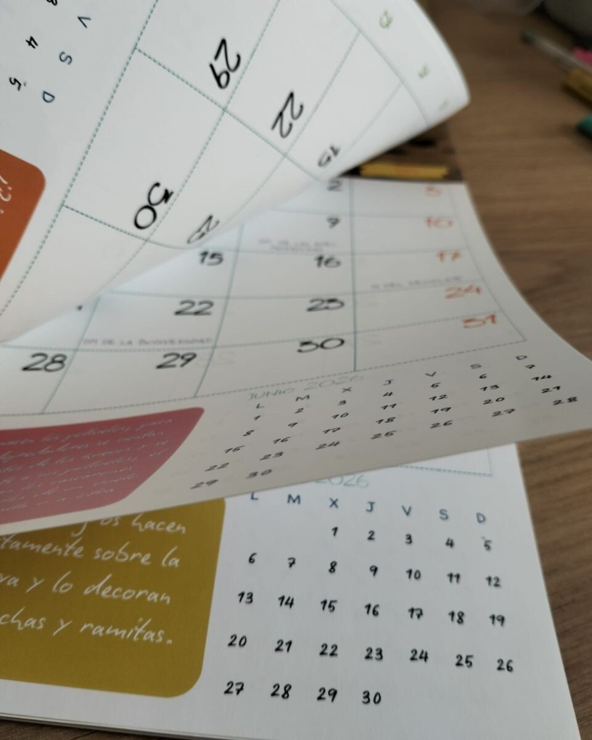 Calendario de pared 2026 - 5