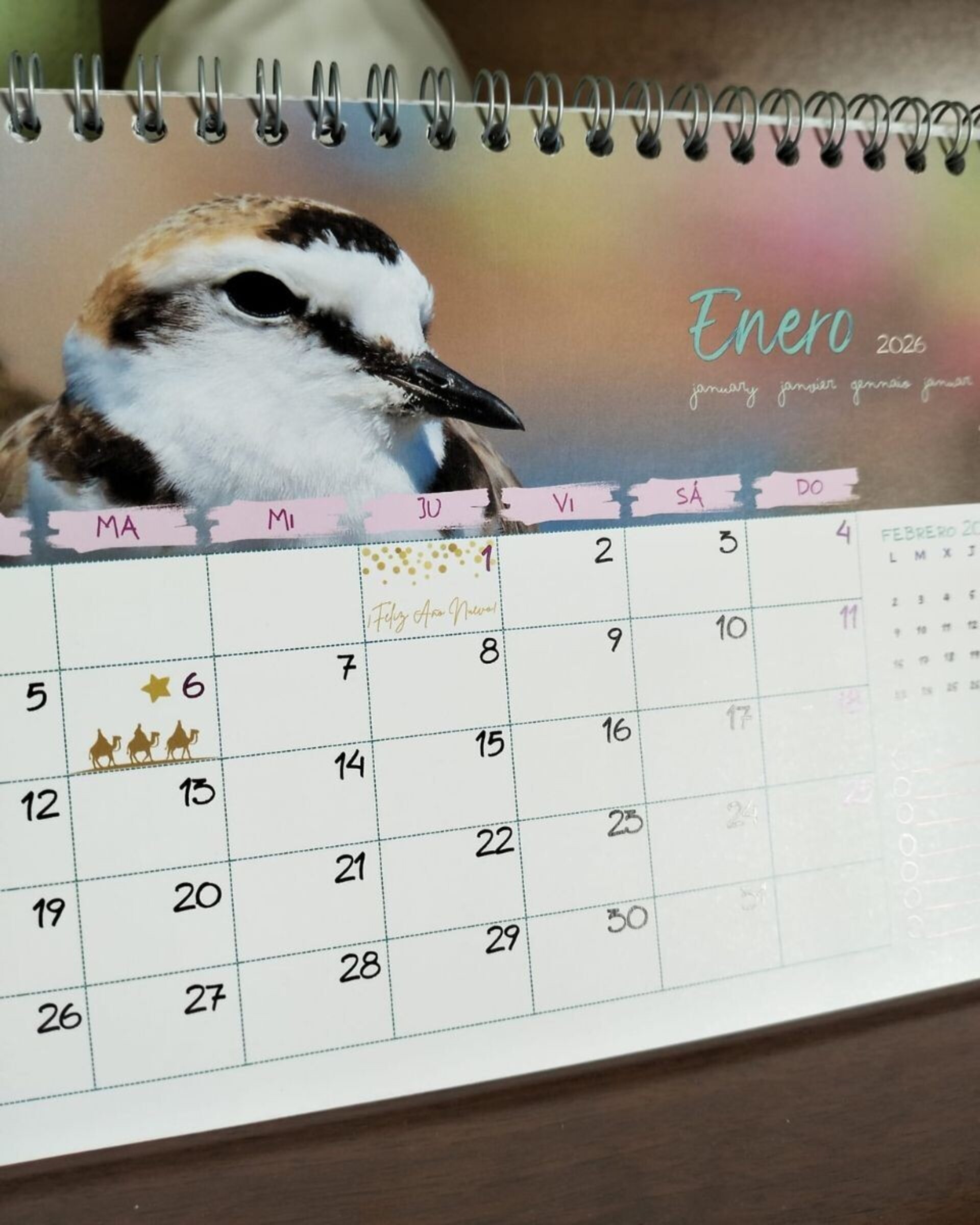 Calendario de mesa Chorlitejos Patinegros - 8