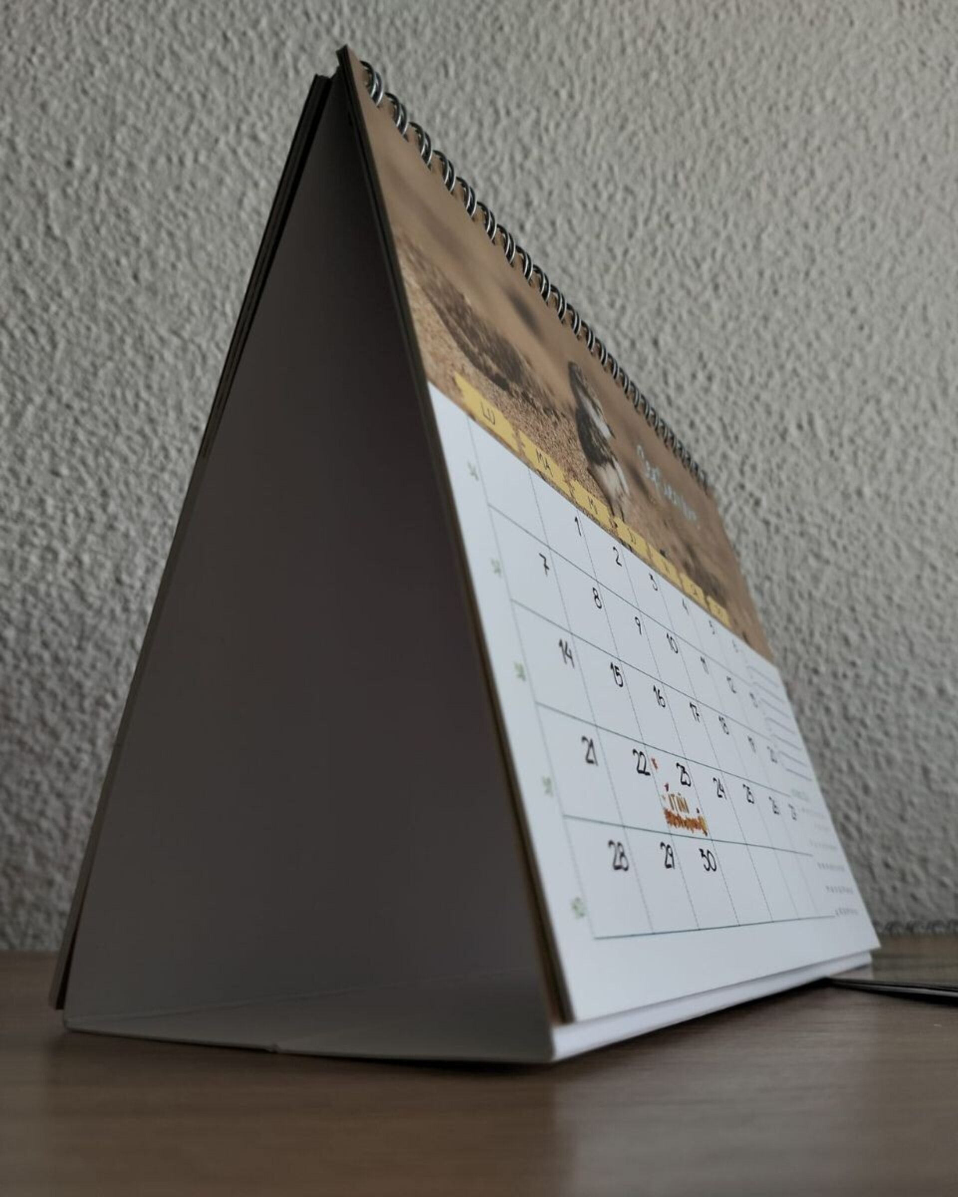 Calendario de mesa Chorlitejos Patinegros - 5