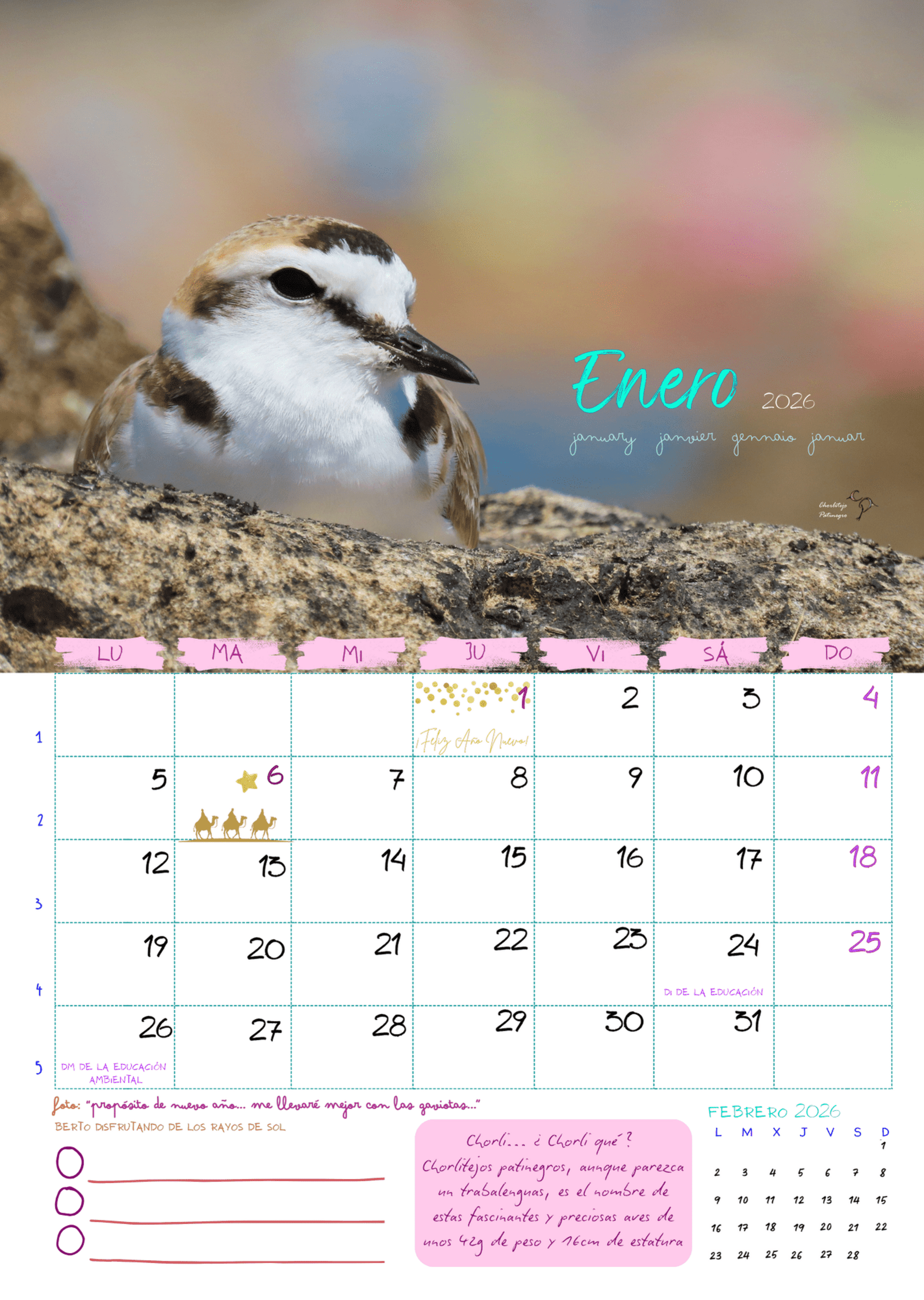 Calendario de pared 2026 - 8